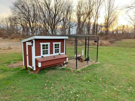 OverEZ Large Classic Chicken Coop With Chicken Run