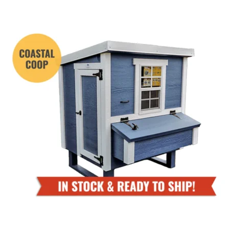 OverEZ Medium Chicken Coop Coastal